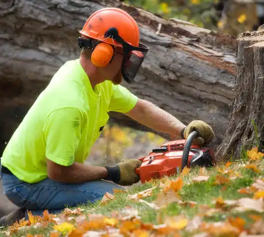 tree services Griggstown